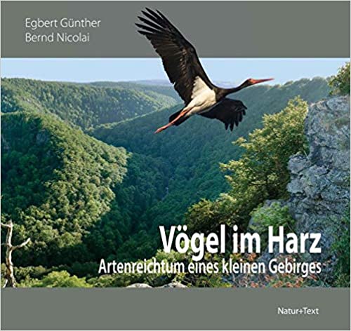 Vögel im Harz: Artenreichtum eines kleinen Gebirges