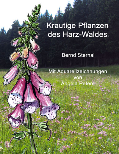 Krautige Pflanzen des Harz-Waldes von Bernd Sternal